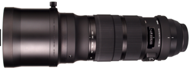 Sigma 120-300 2.8 sport